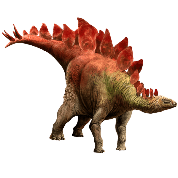 Stegosaurus stenops, стегозавр