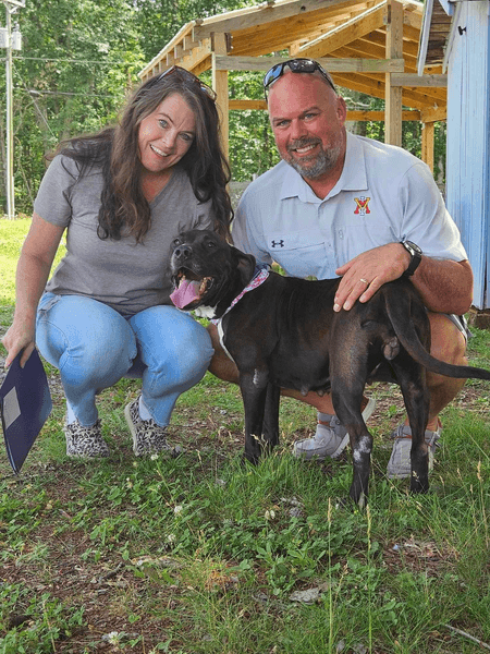 Собака Сієнна в новій родині