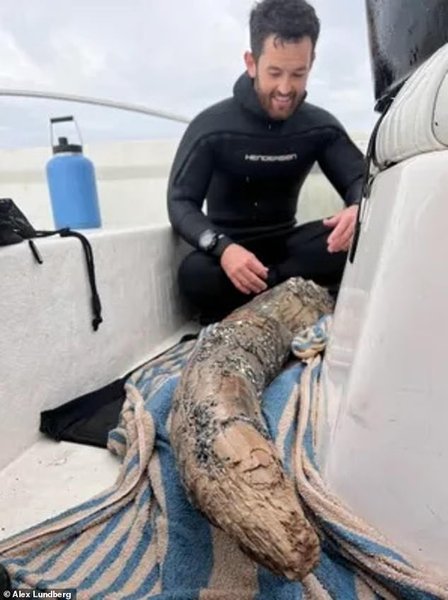 Бивень мастодонта