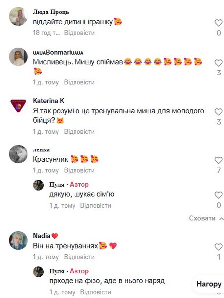 Видео с Тик ток, видео с котом, видео с котенком, комментарии