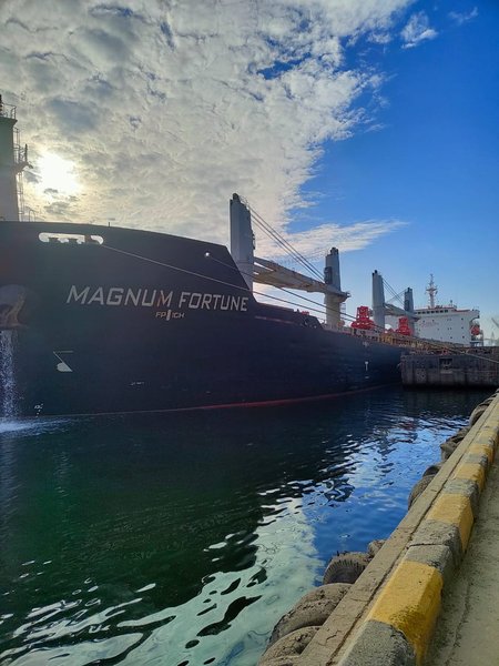 Судно MAGNUM FORTUNE перевозить 51 тис. тонн української пшениці для Бангладешу