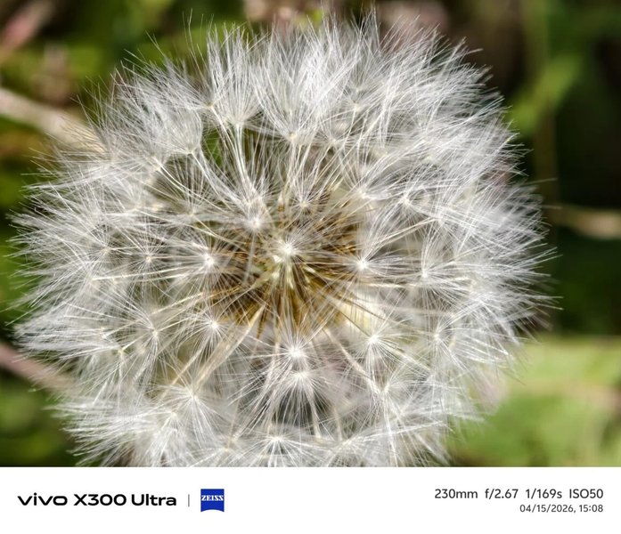 Приклади фото Vivo X300 Ultra