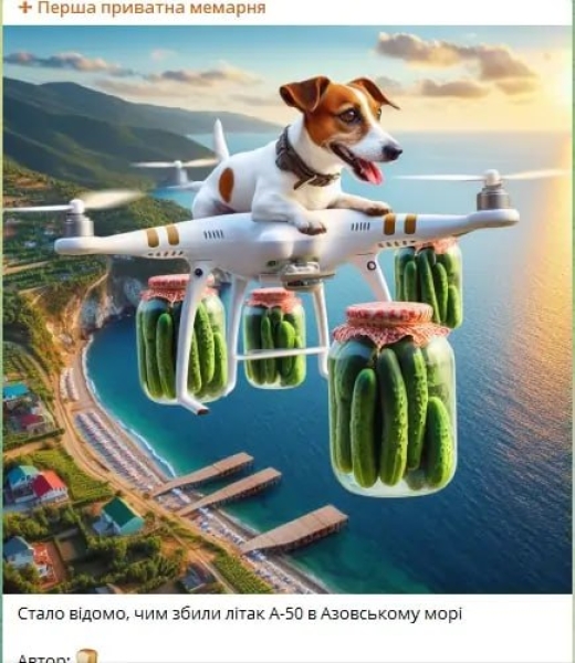 А-50 і пес Патрон, мем А-50, Азовське море, ЗС РФ, втрата літака РФ, мем