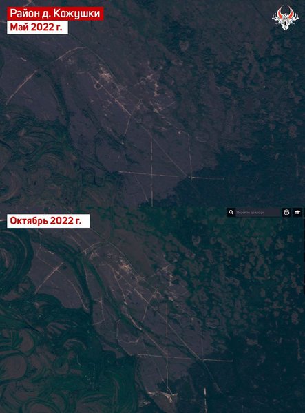 кожушки, беларусь