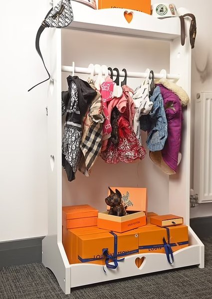 собачья одежда