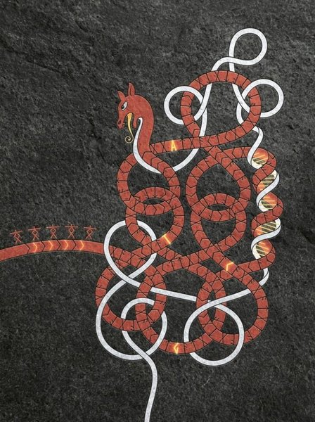 викинги, миграция, Twigstats, население, гены, история, генетика, Скандинавия, Британия, геном, Европа, исследования