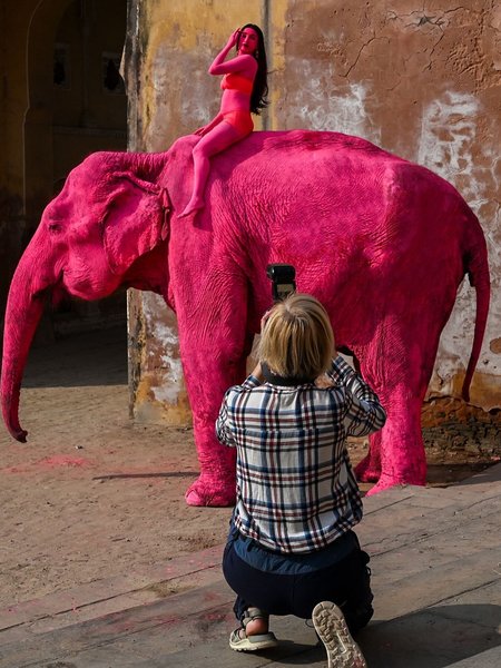 В Индии умерла слониха, которую российская блогерша покрасила в розовый цвет