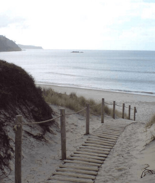 Дерев'яна стежка через дюни, що веде до піщаного пляжу й океану на острові Грейт-Баррієр