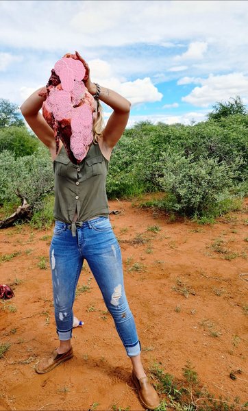 жираф, сердце, Южная Африка