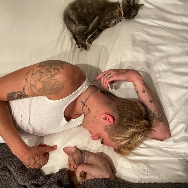 Пресли Гербер, кошка, тату