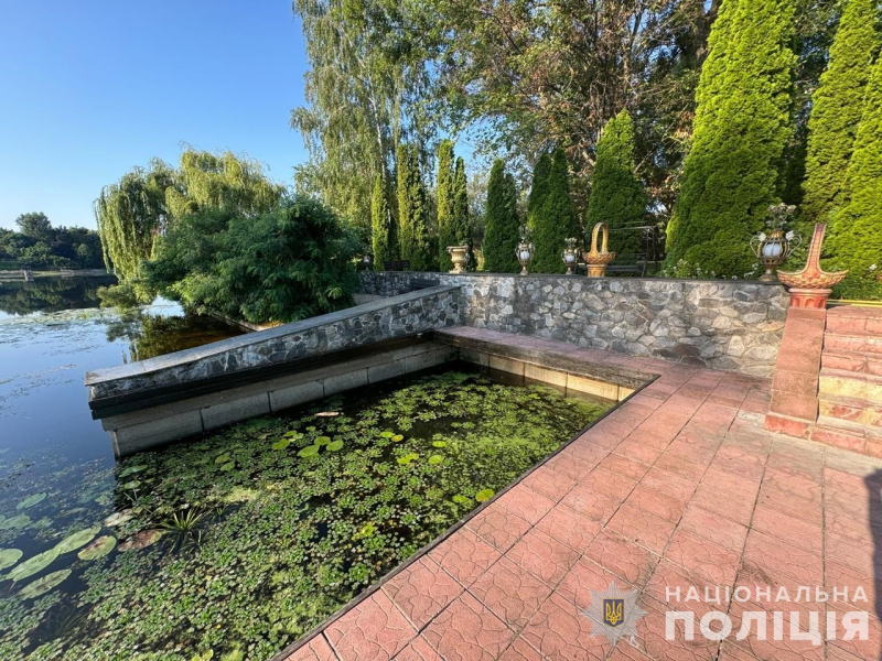 Майно екснардепа "Партії регіонів" Арештоване майно