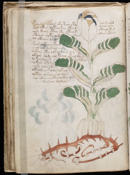 наука, історія, дослідження, записи, писемність, лінгвістика