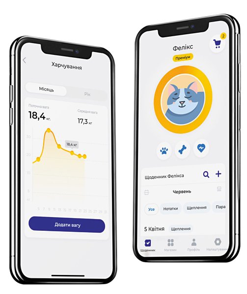 ZooZy, онлайн-трекер, цифровое приложение, стартап