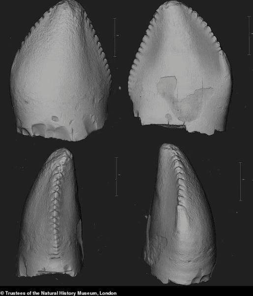 исследования, новые методы исследования, машинное обучение, находка, Великобритания, динозавр, древние животные, останки, окаменелость, раскопки, археология, палеонтология, зубы динозавра