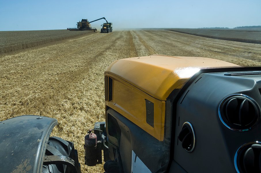 трактор, поле, пшеница