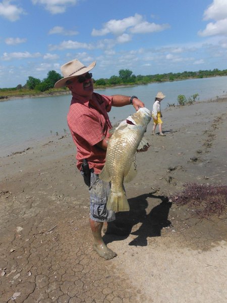 случаи нападения крокодилов на людей, крокодил съел человека, крокодил тащит человека, крокодил убил человека, нападение крокодила, нападение животных на людей, нападение диких животных, большая рыба, крупный улов, рыбалка в австралии