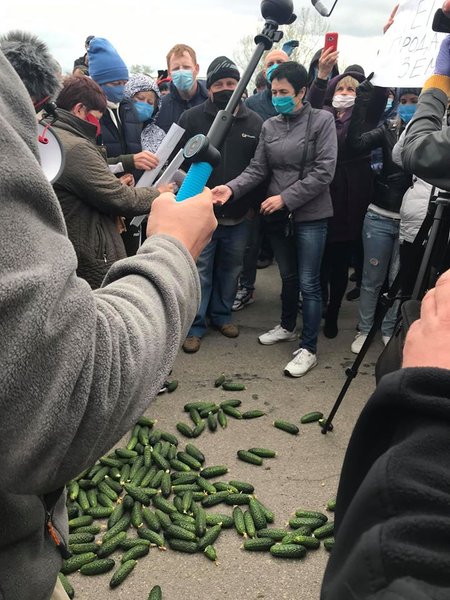 карантин, протесты против карантина, коронавирус, Херсон протесты