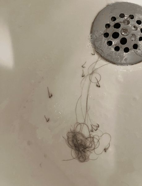 Комахи, комахи у ванній, домогосподарська багатоніжка, комаха у волоссі, істота у ванній