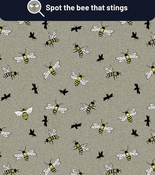 Візуальна головоломка, головоломка, загадка, оптична ілюзія, тренування уважності, тест на уважність, бджоли, тест, бджола з жалом