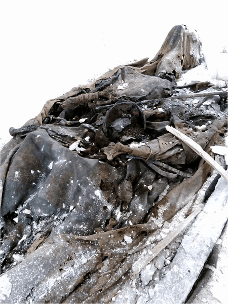 кости, король, фото