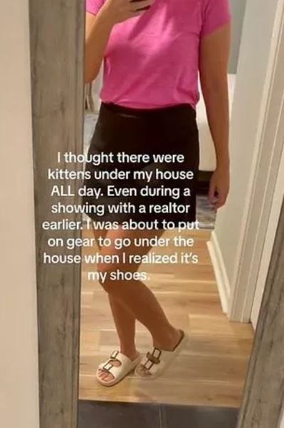 Амми Диз из США искала брошенных котят под своим домом, а нашла кое-что другое, курьезы, приколы