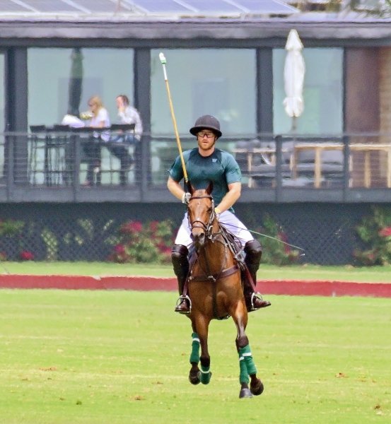 принц хари Принц Хари