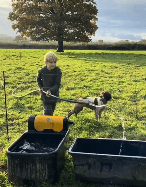 Жизнь на ферме, жизнь в дали от города, своя ферма, сельская местность, новый дом, семья бросила все, жизнь с нуля, новая жизнь