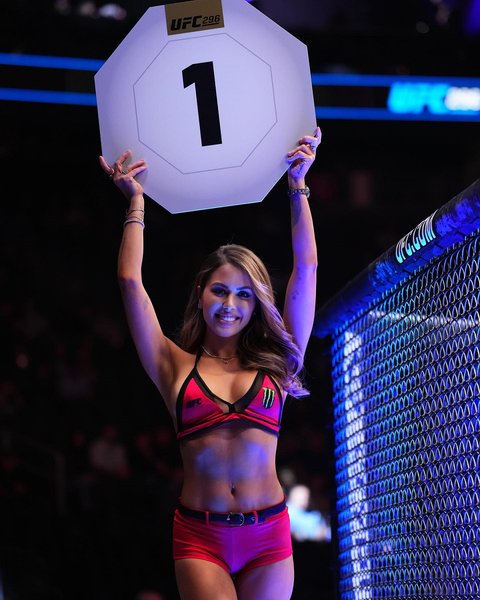 Бріттні Палмер, ринг-герл UFC