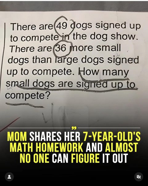 Домашнє завдання, уроки Завдання з математики для дітей 7 років поставило батьків у глухий кут, головоломка, домашнє завдання в школі
