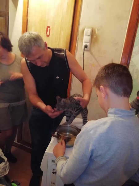 Порятунок кота Семи