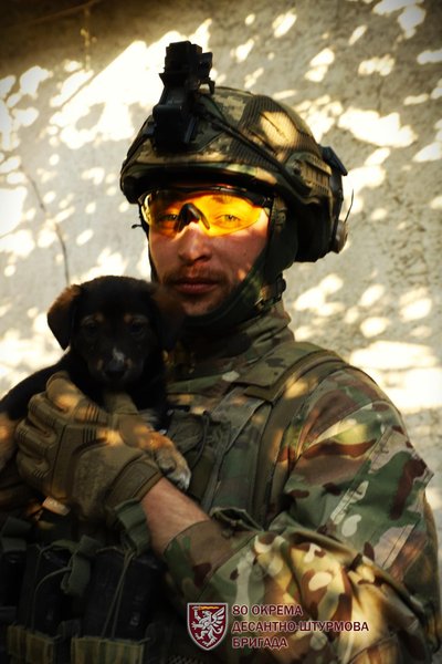 контрнаступление ВСУ, новости контрнаступление, новости Украины, последние новости с фронта, когда будет контрнаступление, новости на передовой, Клещиевка новости, Клещиевка Донецкая область, освобождение Клещиевки