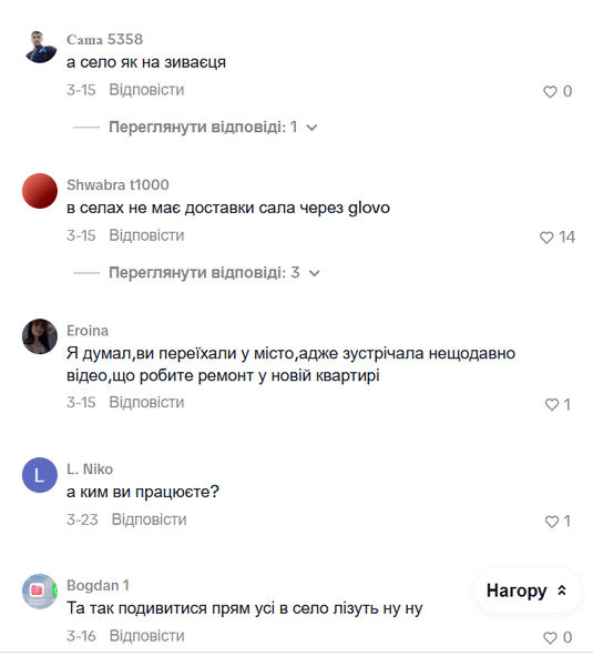 Семья купила дом в деревне