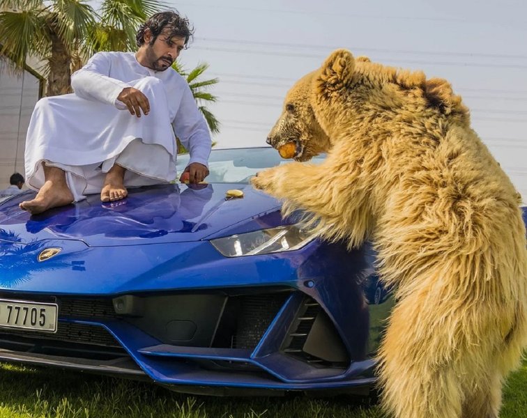 Lamborghini Huracan, авто шейхов, разбитый Lamborghini, частный зоопарк