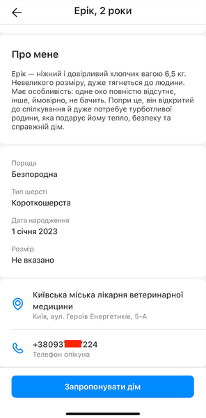 Киев Цифровой, приложение Киев Цифровой, Адопция животных, сервис Адопция животных, функция Адопция животных, бездомные животные, взять животные из приюта