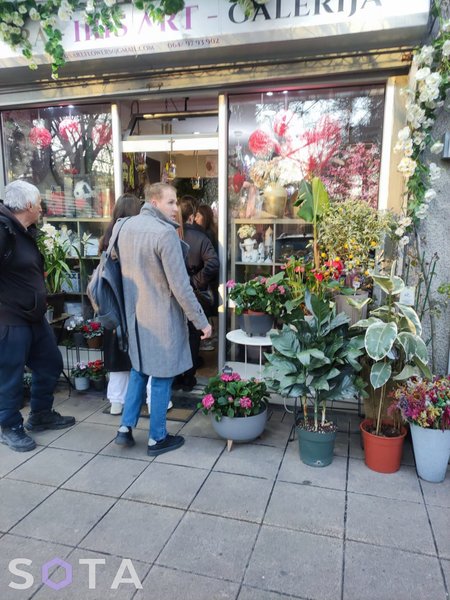 белград, квітковий магазин, навальний