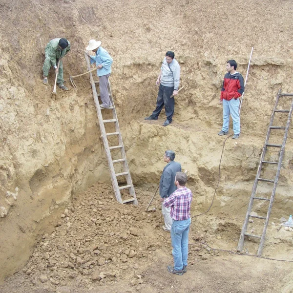 Черепи знайшли у 1990-х роках