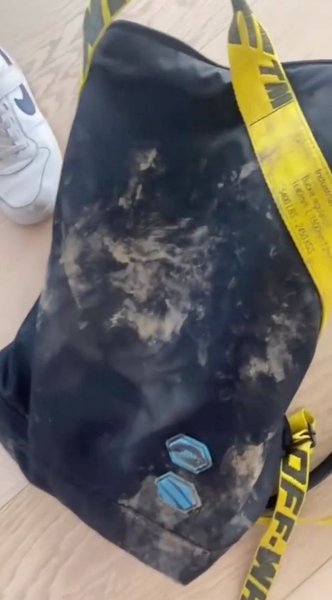 сумка Шакиры