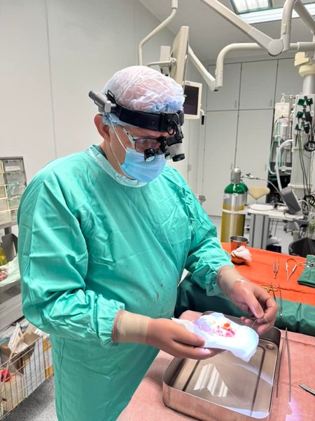 сердце борис тодуров