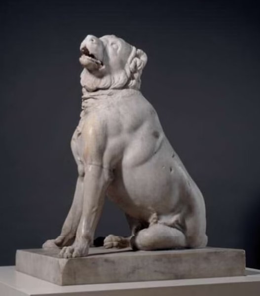 Молосская собака, породы собак, исчезнувшие породы собак, редкие породы собак, собаки, домашние собаки, охотничьи собаки,