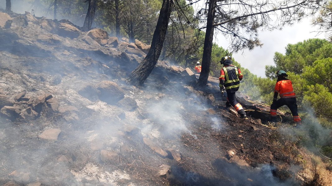 Пожар, Испания, лес
