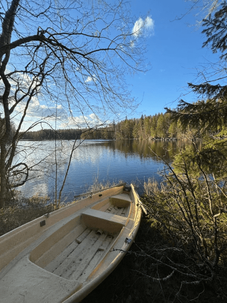 Студент купив острів Студент купив острів, острів у Фінляндії, приватний острів, дешева нерухомість, сауна на острові, тихе місце, човен