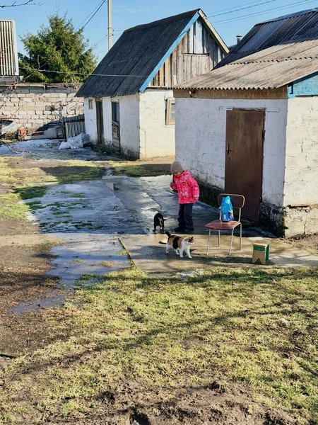 Хата Ельміри, огляд