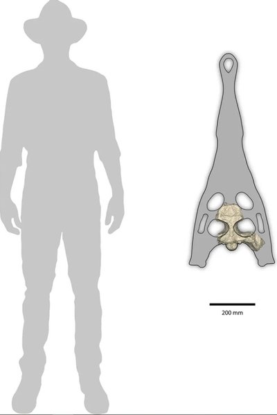 Реконструкция древний крокодил
