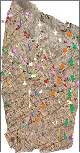 Сліди динозаврів