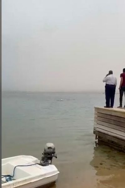 Место, где напала акула в Египте