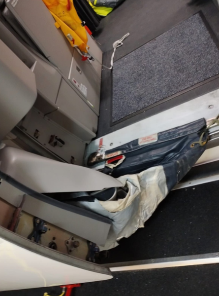 British Airways, курйози, фото, аеропорт, пілот, авіація, надзвичайні події, затримка рейсу, Велика Британія