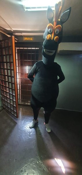 сочи, аниматоры, задержание, вымогательство, попрошайки, россия, попрошайничество, арест, матерились, нецензурная брань