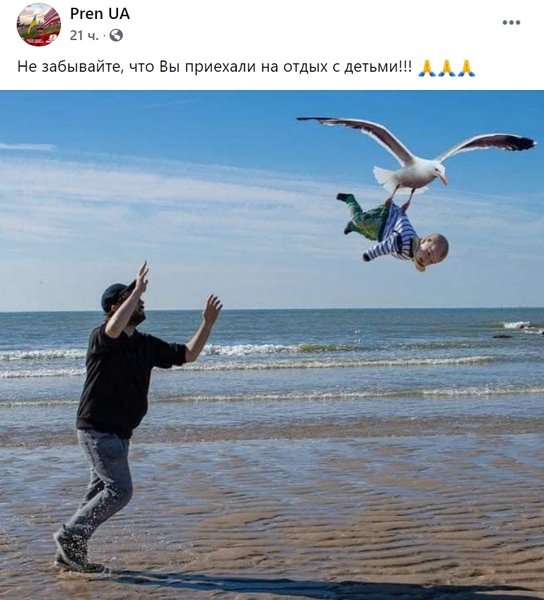 Чайка забирає дитину, пляж, фотожаба