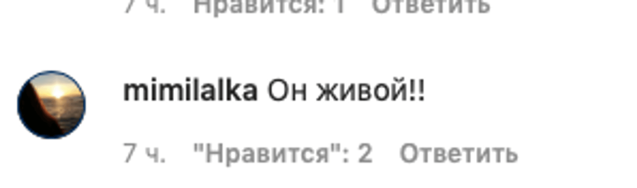 павел дуров, комментарий, instagram, фото