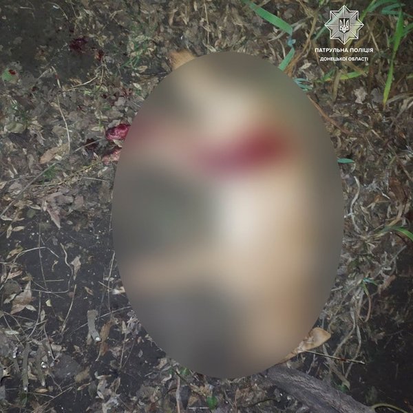 Собака в Мариуполе